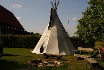 Tipi